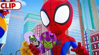 Gobby and Rhino Ruin Valentine's Day  | Marvel's Spidey and his Amazing Friends | @disneyjr