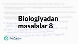 Biologiyadan masalalar 8 | Biologiyadan masalalar | Biologiya