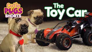 The Toy Car | Cutie Pugs | Animals for Kids