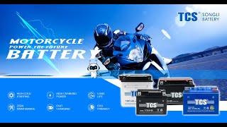 Motorcycle Battery YT4L BS