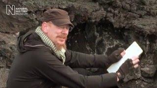 Exploring Iceland's lava tubes | Natural History Museum