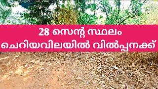 വിൽപ്പനക്ക് 28 സെൻ്റ സ്ഥലം ചെറിയ വിലയിൽ സ്വന്തമാക്കാം plot for sale ️