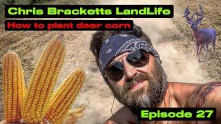 "HOW TO PLANT DEER CORN" Chris Brackett's LandLife Episode 27 Ask a farmer series