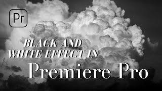 Black and White Effect in Premiere Pro