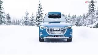 Skiguard X Audi E-Tron // Premium Ski & Cargo Box