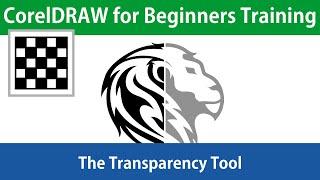 CorelDRAW for Beginners the Transparency Tool Tutorial