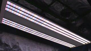 ES300 V1 LED GROW LIGHT PAR TEST! - THE GREEN SUNSHINE COMPANY ELECTRIC SKY