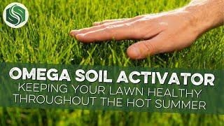 How to Keep Your Lawn Healthy Throughout the Summer with Omega Soil Activator