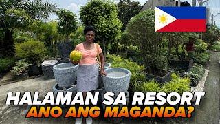 HALAMAN SA RESORT ANO ANG MAGANDA ILAGAY?