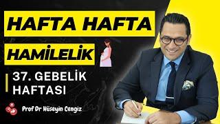 37 HAFTA GEBELİK (hafta hafta gebelik, gebeliğin 37.haftasında hem bebekte hem annede neler oluyor?)