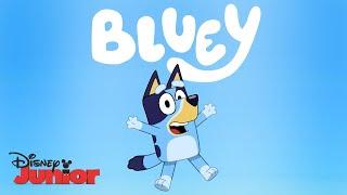 Official Trailer | Bluey | Disney Junior