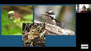 Coastside Open Spaces- Junior Land Stewards Virtual Environmental Science Program (Session 4)