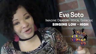 Voice Lesson-Imagine Dragon -Vocal Exercise Workout "Low To High"