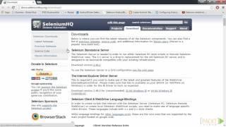Mastering Selenium Testing Tools: Introduction to the Selenium Server | packtpub.com