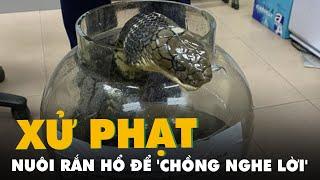 Tin thầy bói mua rắn hổ chúa về nuôi để 'chồng nghe lời', bị phạt 500 triệu