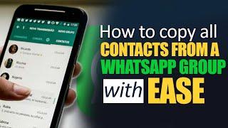 How to copy all contacts from a WhatsApp group