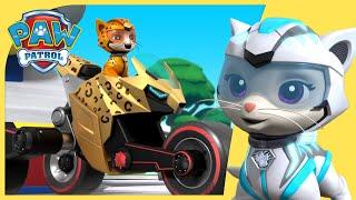 Cat Pack Stops a Giant Ball of Yarn  + More Cartoons for Kids | PAW Patrol