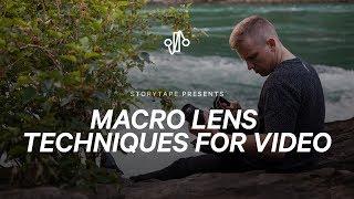 MACRO VIDEOGRAPHY - Beginner Tips For Macro Filmmaking