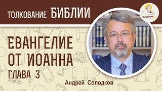 Евангелие от Иоанна. Глава 3. Андрей Солодков. Новый Завет