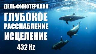ДЕЛЬФИНОТЕРАПИЯ  Целебные звуки дельфинов  DOLPHIN THERAPY  Healing sounds of dolphins  432 Hz