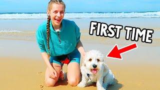 WINKY'S FIRST TIME AT THE BEACH (ending is shocking)