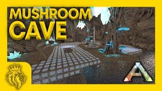 Ragnarok Mushroom Cave FULL PVP BASE DESIGN | For Official! | ARK: Survival Evolved