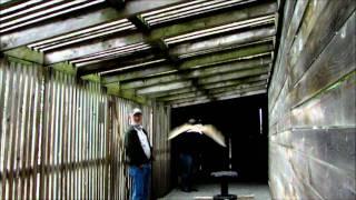 Barn Owls Learning to Fly