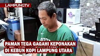 Paman Gagahi Keponakan di Kebun Kopi Lampung Utara