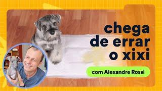 Como ensinar cachorro a fazer xixi no lugar certo? Alexandre Rossi dá dicas | Petz TV Comportamento