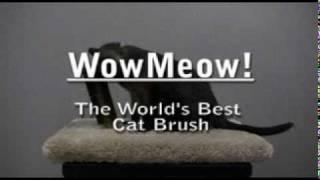 The WowMeow!™ Cat Brush In Action