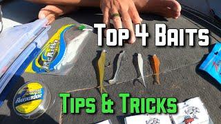 Top 4 Baits Fishing Durban Harbour. Tips & Tricks, Rods, Reels, Lines, jigheads and HOW TO FISH IT.