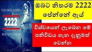 ඔබට නිතරම 2222 පේන්නේ ඇය්..විශ්වයෙන් ලැබෙන මේ පනිවිඩය ගැන දැනුමත් වෙන්න - Law of Attraction