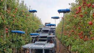 Israel enlists drones, AI and big data to farm for the future | AFP
