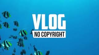 Syotto - Sea Turtle [No Copyright Music]