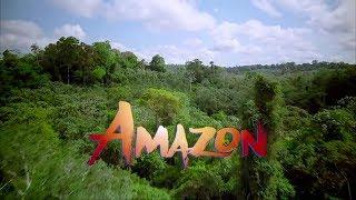 5 SOSOK PENUNGGU HUTAN AMAZON YANG MENYERAMKAN DAN TERKENAL GANAS