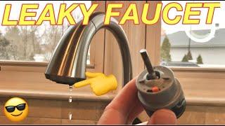 HOW TO FIX A LEAKY DELTA FAUCET - Replacing a Valve Cartridge on a Single Handle Delta Faucet. Easy!