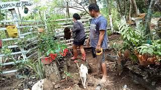 The Beginning---Ondoy Helping In Beth's Garden