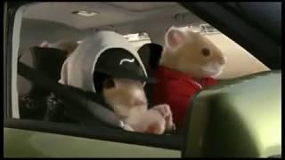 Kia 'This or That' Soul Commercial - 2010