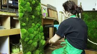 Botanical moss wall art | Behind the scenes | Verti-Grow