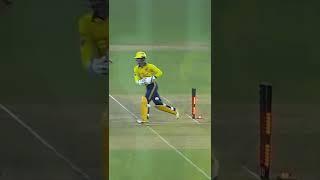 All the stump out dismissals from Pakistan Junior League 2022 | PJL | Season 1#PJL #Next11