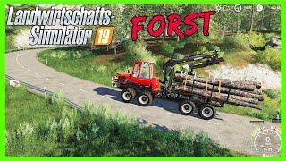 LS19 - Flachwitz Manni  Manni und Günni #89  Landwirtschafts Simulator 2019