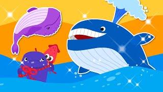 Whales Song | Big-headed hunter! I' am a Sperm Whale | Sea Animal song | Nursery Rhymes   TidiKids