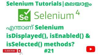 isDisplayed, isEnabled & isSelected |Selenium 4 Tutorials | Selenium Web Automation | Malayalam| #21