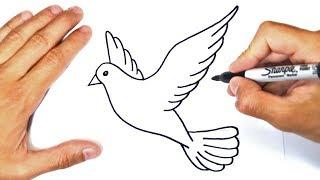 How to draw a Dove Step by Step | Dove Drawing Lesson