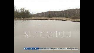 Вместо карстового провала в Арзамасском районе появилось озеро