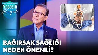 Bağırsak Sağlığı İçin Nasıl Beslenmeliyiz? | Osman Müftüoğlu ile Yaşasın Hayat