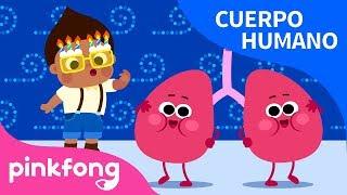 Pulmones | Cuerpo Humano | Pinkfong Canciones Infantiles