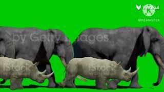 Jumanji animal stampede green screen