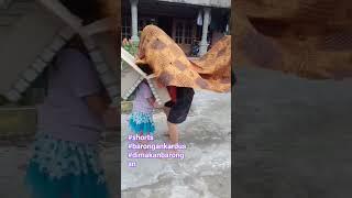 dimakan barongan kardus