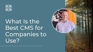 What Is the Best CMS for Companies to Use?